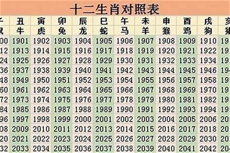 1999年出生的人|1999年，是属什么生肖年